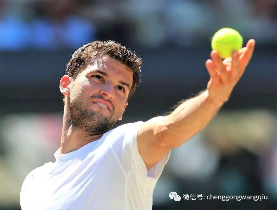 的投机空间 的投机空间